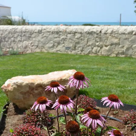 Sabbia Dorata Daire Punta Braccetto