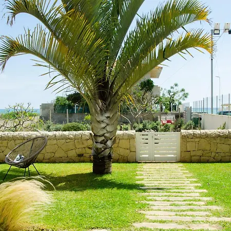 Daire Sabbia Dorata Punta Braccetto